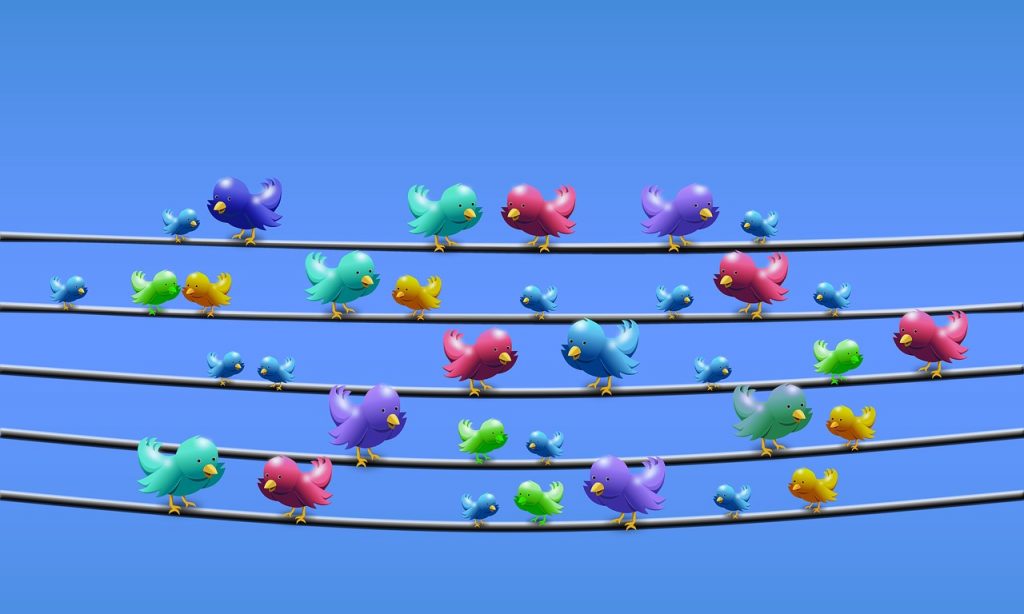 Tweeting Yourself to Camgirl Success!