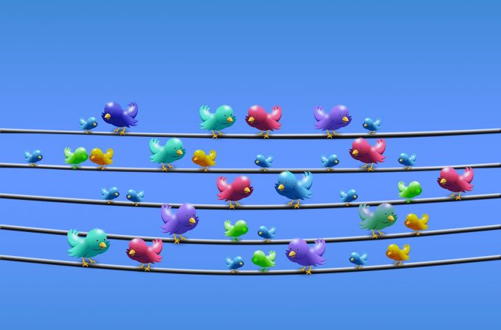 Tweeting Yourself to Camgirl Success!